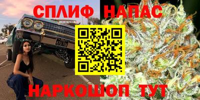 гидра Бузулук