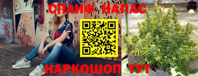 стафф Будённовск