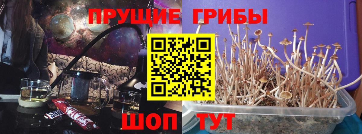 Псилоцибиновые грибы ЛСД  Вход с VPN  Туймазы 